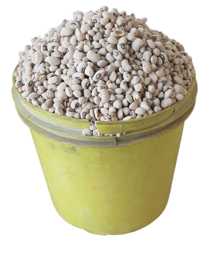 White Beans Paint Rubber