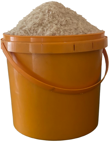 Foreign Rice (Paint Rubber)